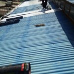 ایزوگام ایرانیت